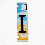 License Plate Individual Letters